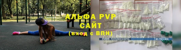 прущие грибы Гусь-Хрустальный