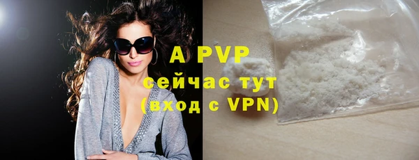 хмурый Гусиноозёрск