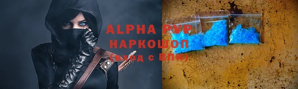 ГАЛЛЮЦИНОГЕННЫЕ ГРИБЫ Вяземский