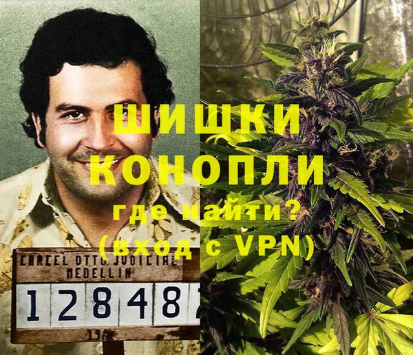 прущие грибы Гусь-Хрустальный
