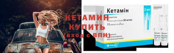 ГАЛЛЮЦИНОГЕННЫЕ ГРИБЫ Вяземский