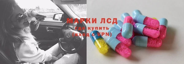 прущие грибы Гусь-Хрустальный
