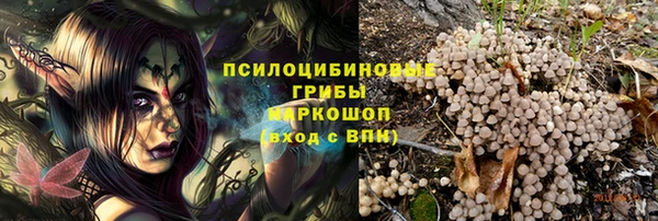 ГАЛЛЮЦИНОГЕННЫЕ ГРИБЫ Вяземский