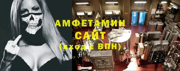ГАЛЛЮЦИНОГЕННЫЕ ГРИБЫ Вяземский