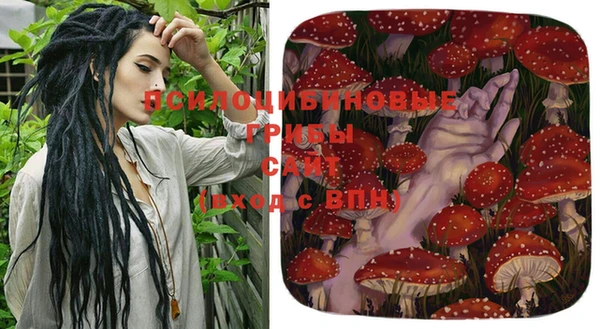 хмурый Гусиноозёрск