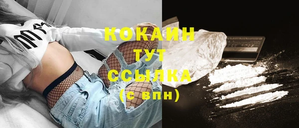 ГАЛЛЮЦИНОГЕННЫЕ ГРИБЫ Вяземский