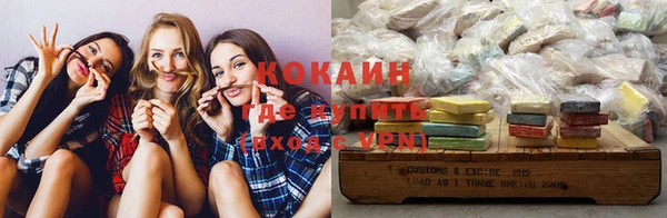 ГАЛЛЮЦИНОГЕННЫЕ ГРИБЫ Вяземский